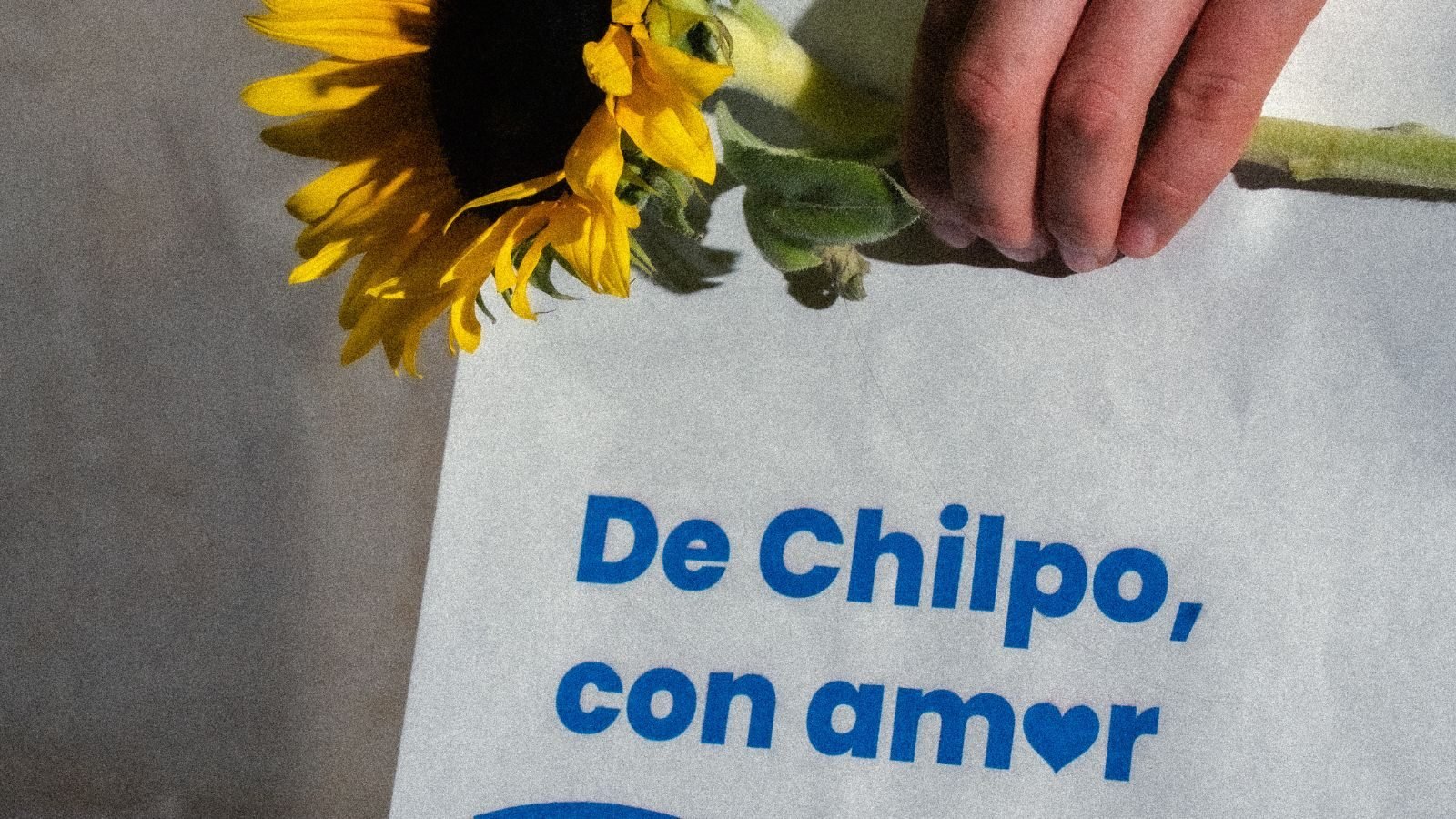 Bolsa de entrega Lody's, De Chilpo con amor